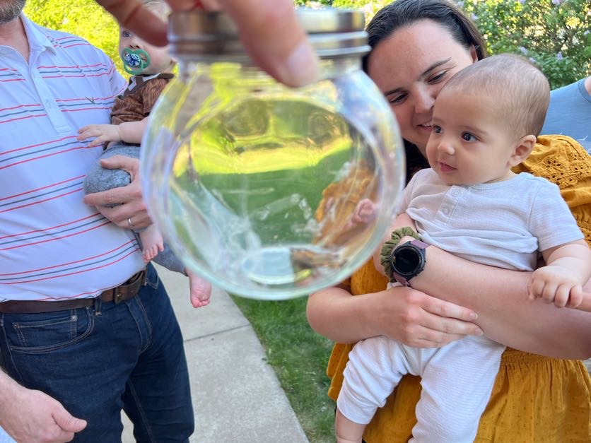 baby and parent looking at critter container